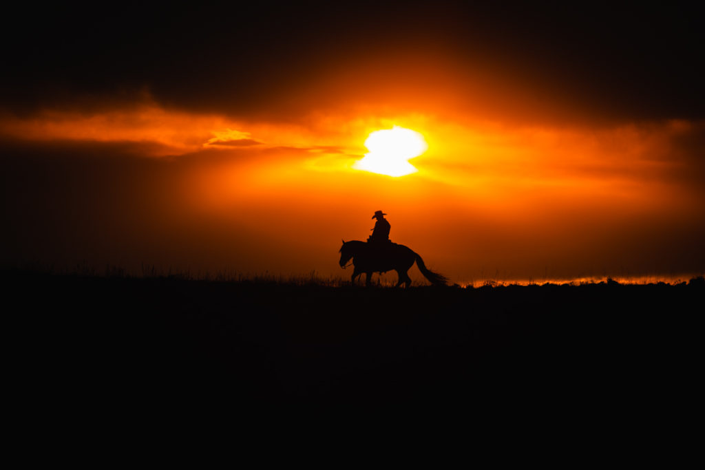 Photograph of a cowboy riding his horse silhouetted against the sunset.