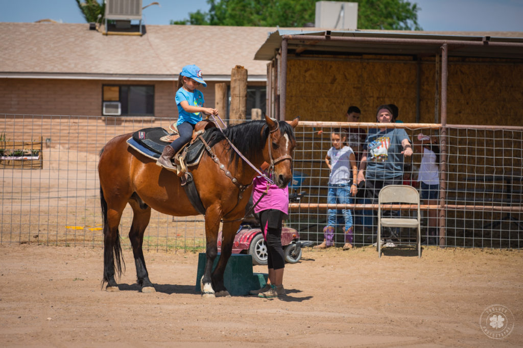 Summer camp hosted at a horseback riding lesson stable in El Paso, Texas.