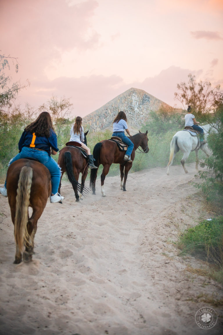 Horse Boarding El Paso TX Facilities with Great
