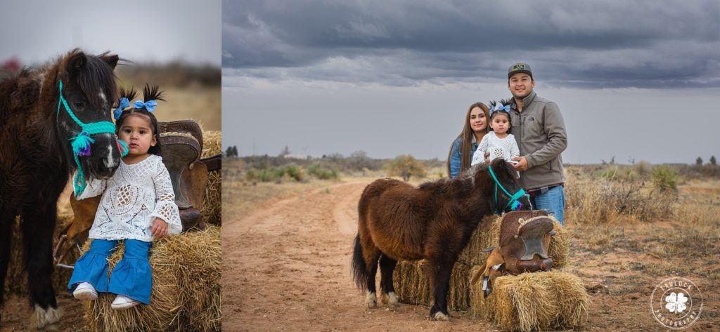 Photographs of a family posing with a mini horse in El Paso, Texas.