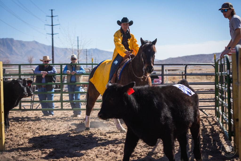Photograph of a cowgirl wearing a yellow slicker jacket herding cattle from horseback in Sunland Park, New Mexico. 