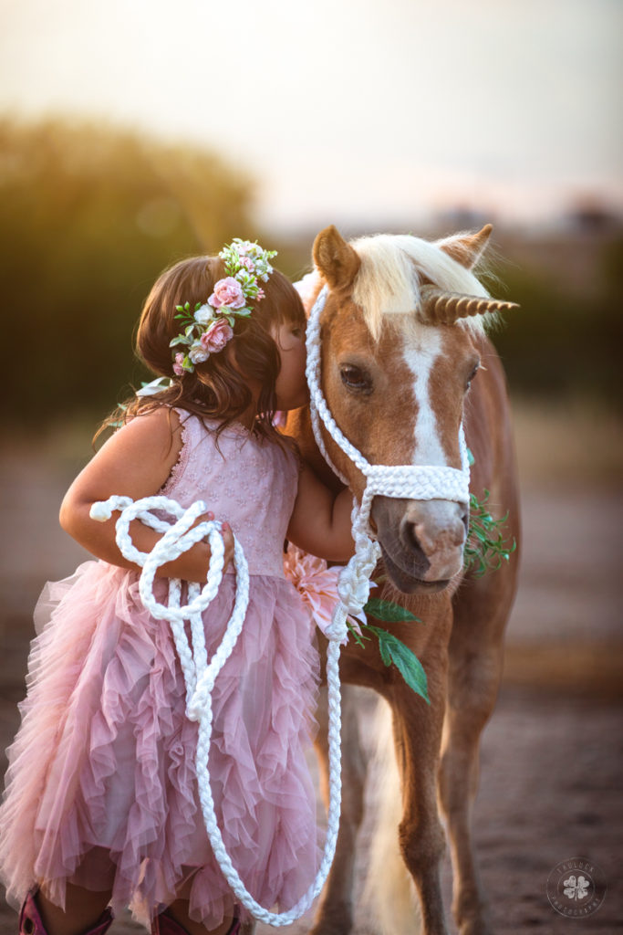 Photograph of a toddler wearing a flower crown and a pink dress kissing a mini horse dressed up like a unicorn for a unicorn session in El Paso, Texas. 