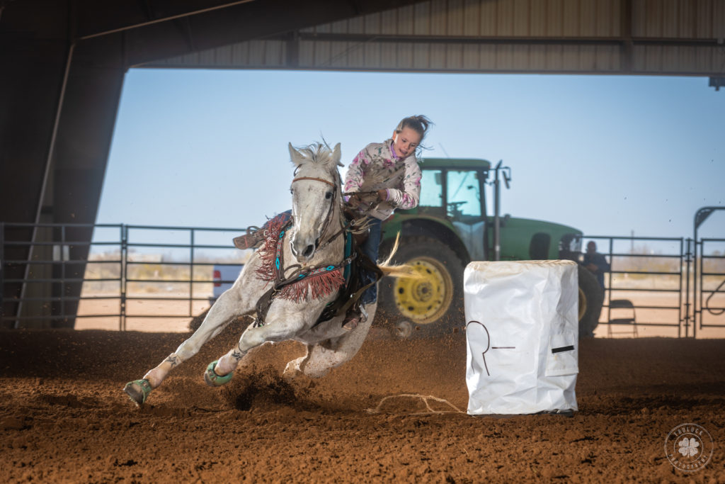 Photograph of a girl riding a grey horse around a barrel in a covered arena in Tularosa, New Mexico. 