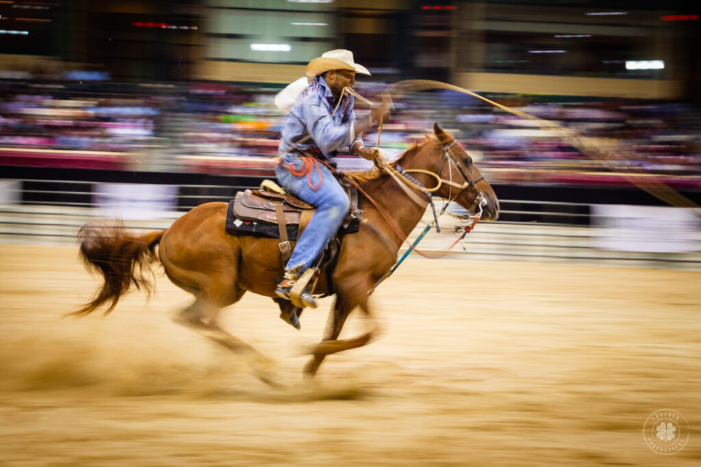 Photograph of a cowboy roping off of a horse while it's running. 