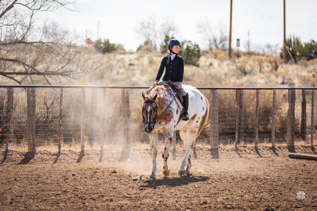 Photograph of a girl in English show attire riding a chestnut appaloosa horse in a dirt arena. 