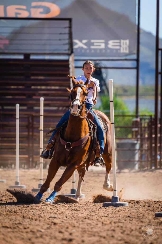 Photograph of a cowgirl riding her horse through poles during a gymkhana at Landmark Mercantile in Mesquite, New Mexico. 