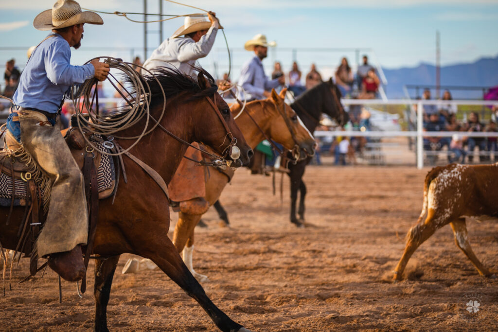 Photographs of a line of cowboys swinging ropes as they chase after a steer during a rodeo in Deming, New Mexico. 