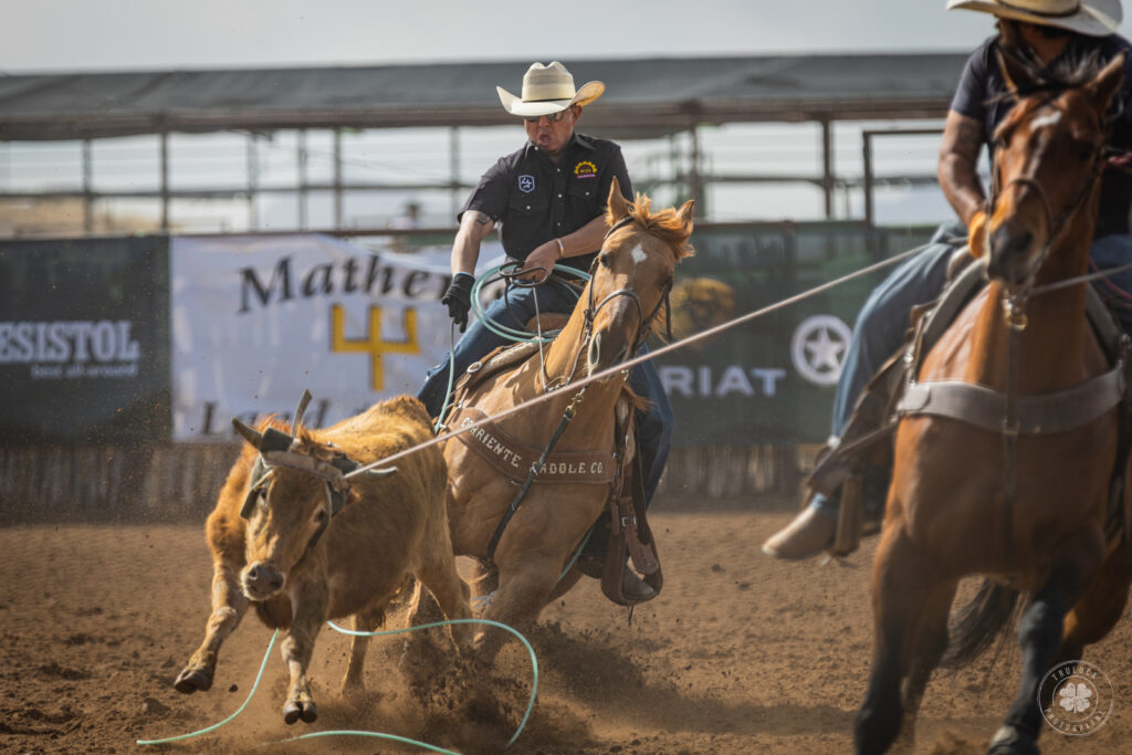 Photograph of a pair of cowboys roping a steer during a team roping in Mesquite, New Mexico. 