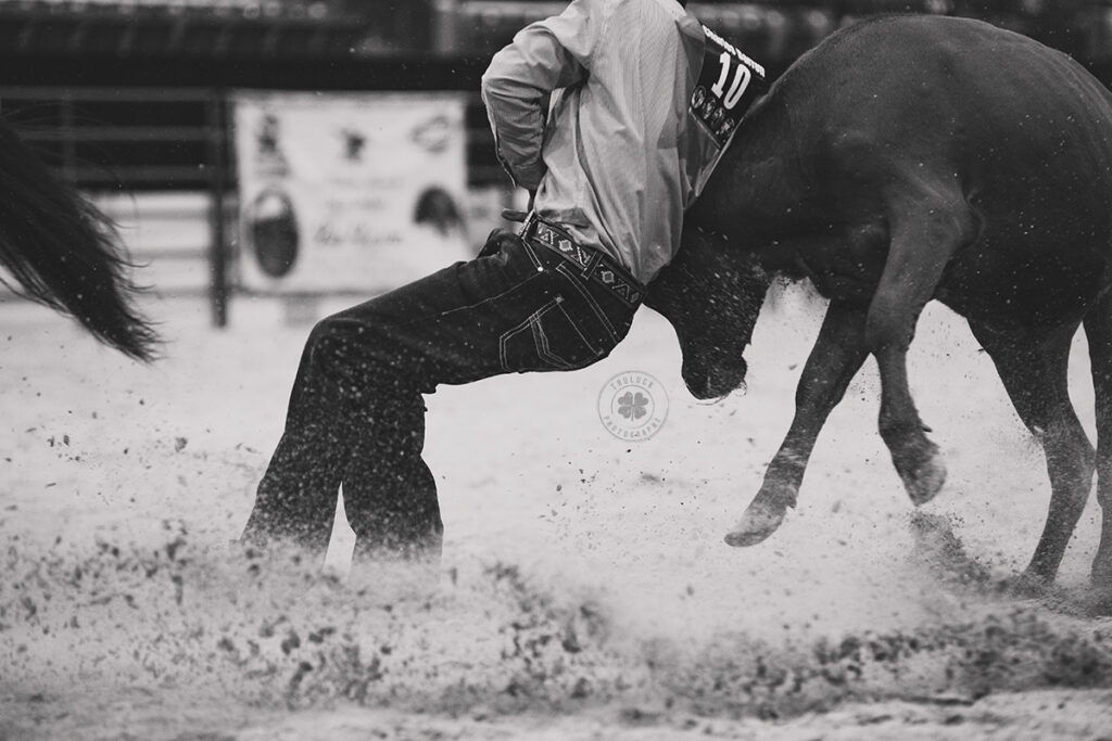 Black and white photograph of a cowboy wrestling a steer to the ground during a rodeo.  