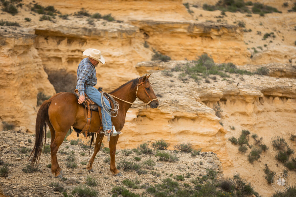 Photograph of a cowboy sitting on his horse in the canyons in Scott City, Kansas.  