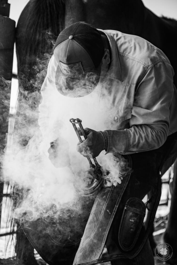 Black and white photograph of a farrier pressing a hot shoe to a horse's hoof, leading to a lot of smoke coming off of the hoof in Kansas.  