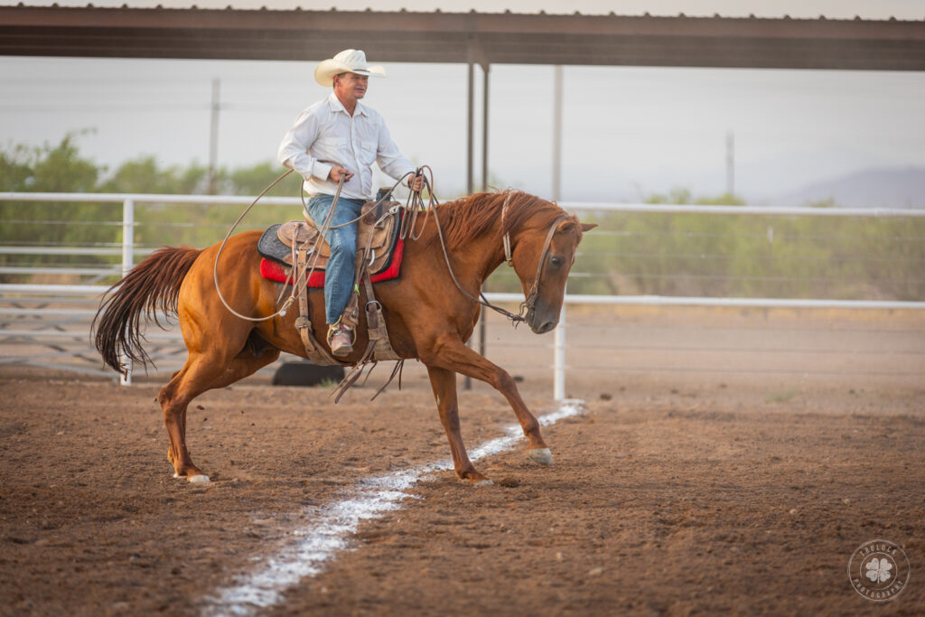 Photograph of a cowboy racing his horse across a starting line during a rodeo. 