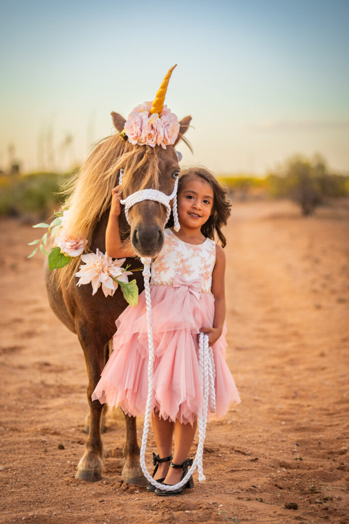 A miniature horse dressed up for a unicorn photo shoot in El Paso, Texas. 