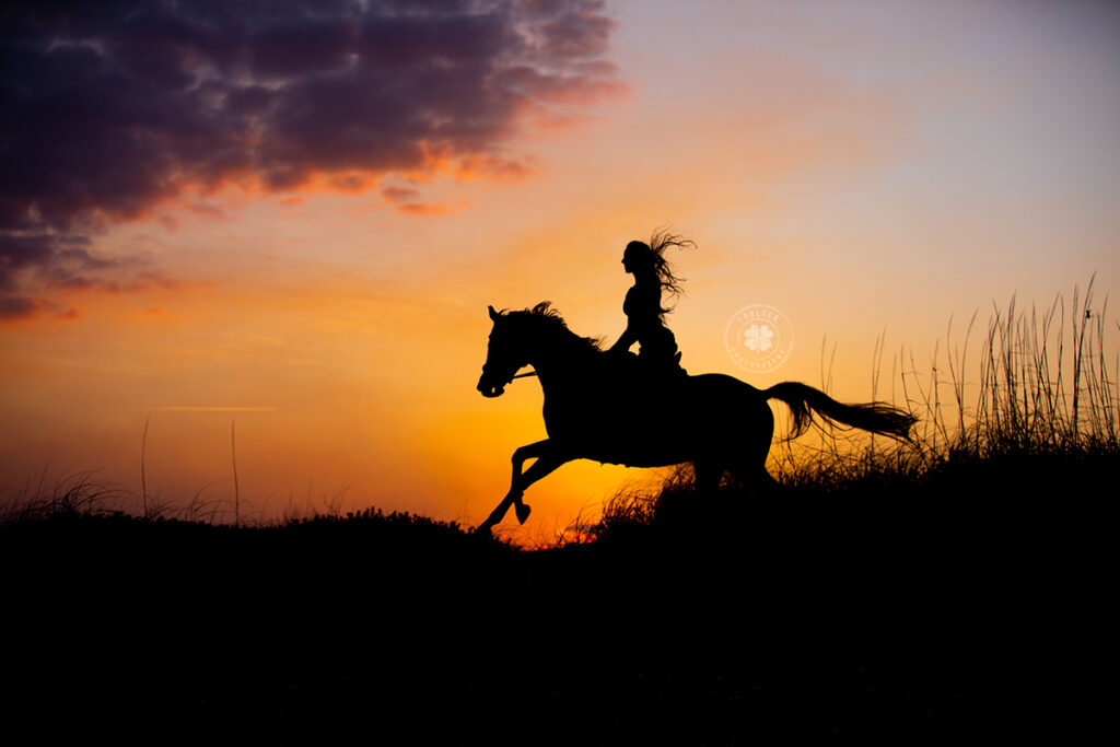 A horse and rider are silhouetted against a sunset on the beach. 