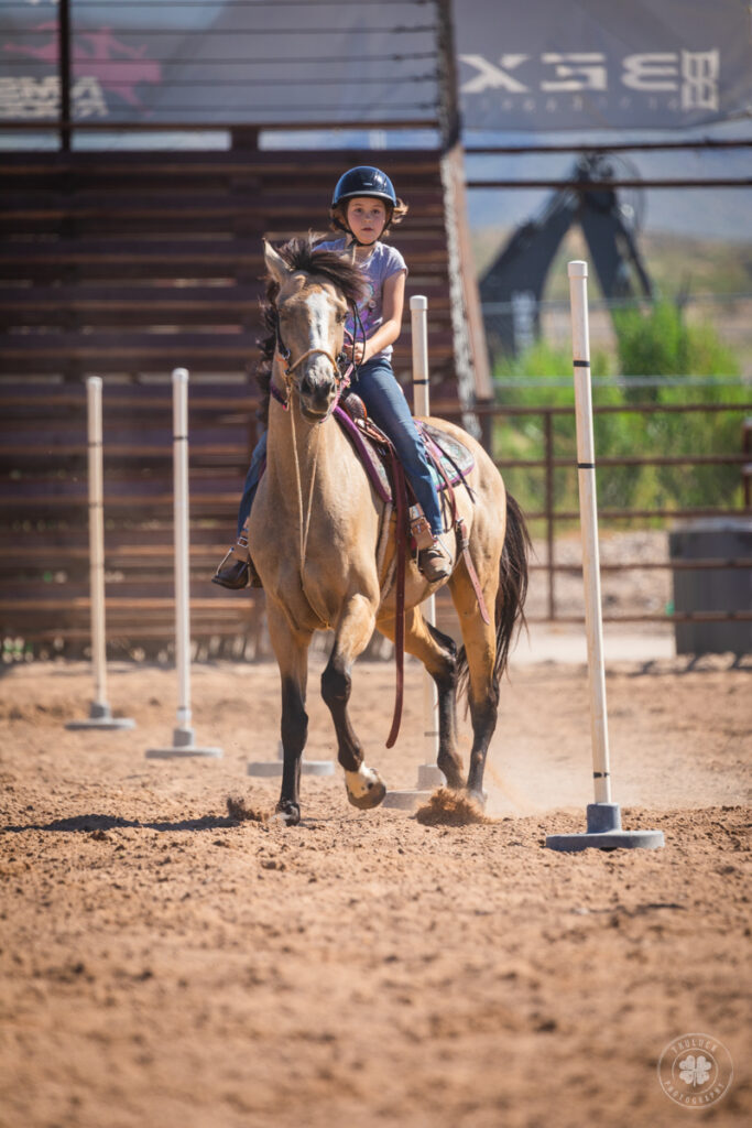 Photograph of a cowgirl weaving her dun horse through poles during a gymkhana in New Mexico. 