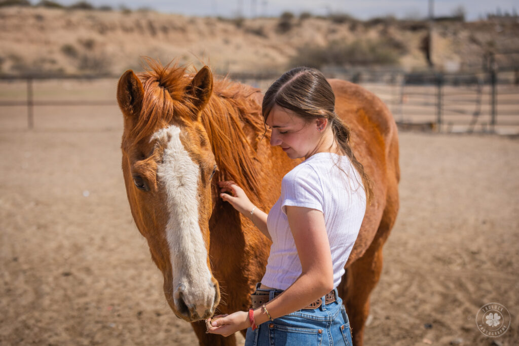 Photograph of a teenage girl wearing jeans and a white tee shirt petting her senior chestnut horse. 