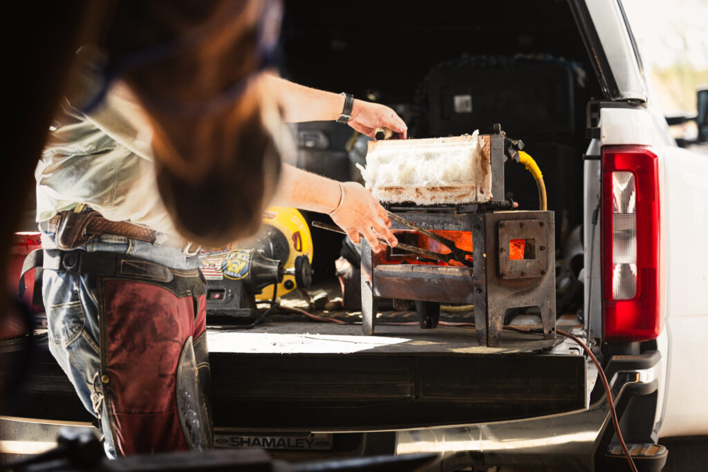 A photograph of a man placing a horseshoe into a portable forge with tongs.  There's a horse nose in the foreground. 