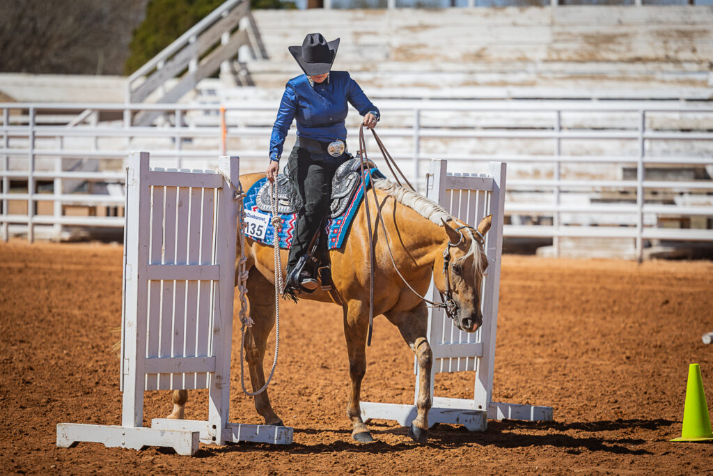 An equestrian in black and blue western show attire riders her palomino horse through a western gate in New Mexico.  