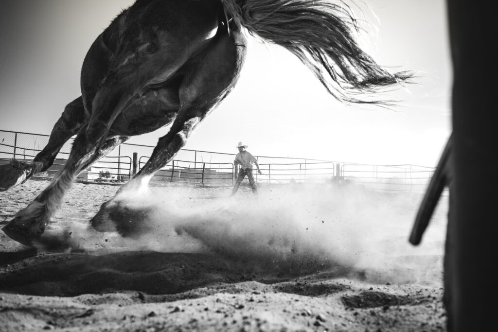 Wide angle black and white photograph of a cowboy lunging a horse with the horse in the foreground almost framing the cowboy at the other end of the round pen in Las Cruces, New Mexico.