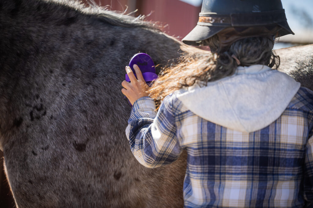 Photograph of a woman with curly brown hair under a helmet grooming a bay roan horse with a rubber curry comb.